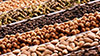 Roaster 106 tostatrice di caffè, frutta secca e fave di cacao